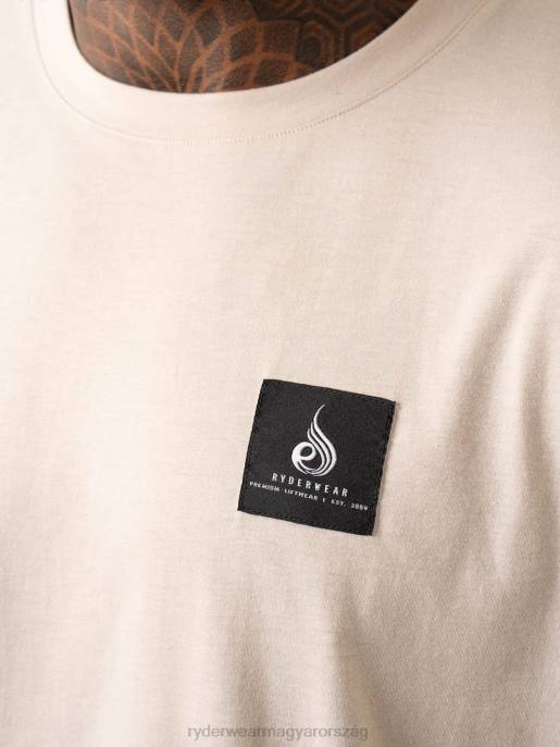 ruházat Ryderwear dinamikus túlméretezett póló kő férfiak B48F1269