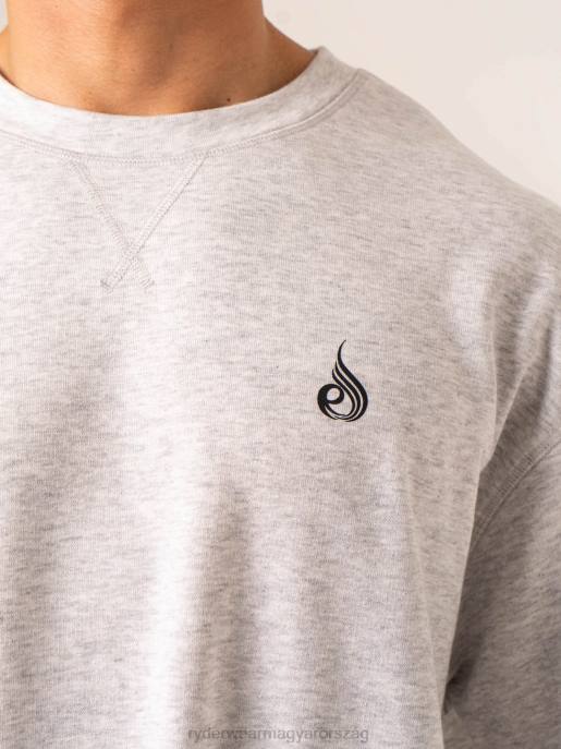 ruházat Ryderwear előbukkanó gyapjú póló hószürke márga férfiak B48F1286